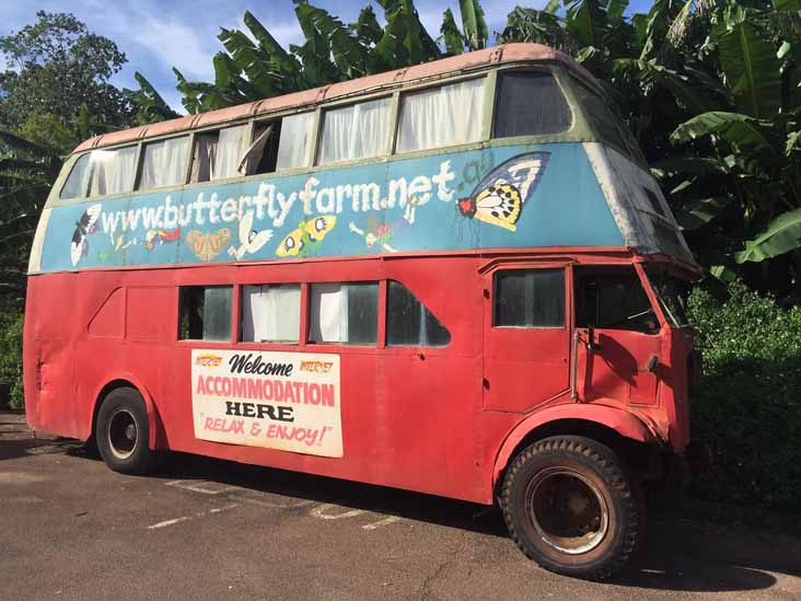 Sydney bus in Darwin